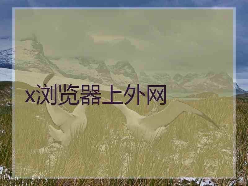 x浏览器上外网