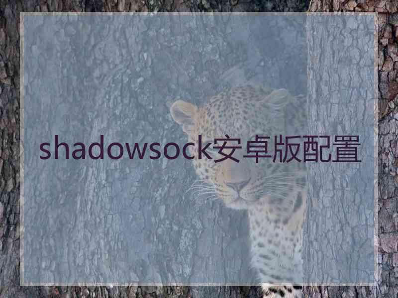 shadowsock安卓版配置