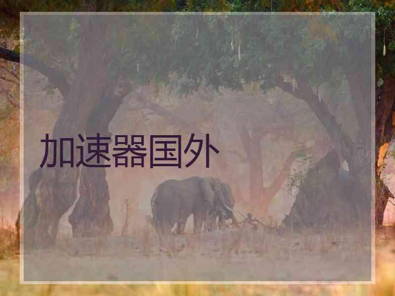 加速器国外