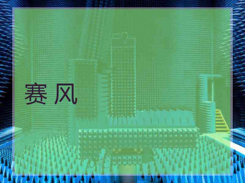 赛 风