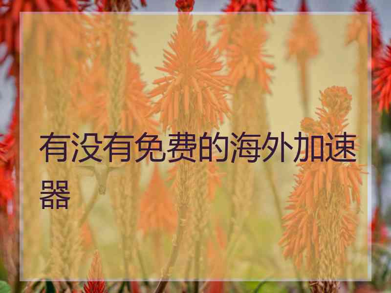 有没有免费的海外加速器