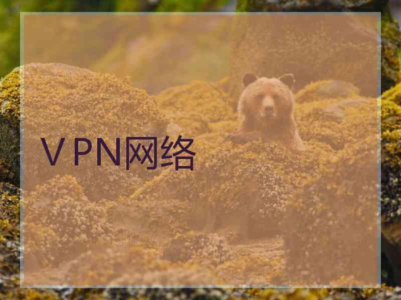 ⅤPN网络