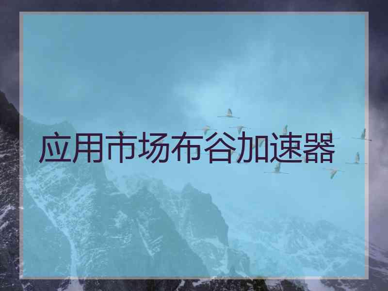 应用市场布谷加速器