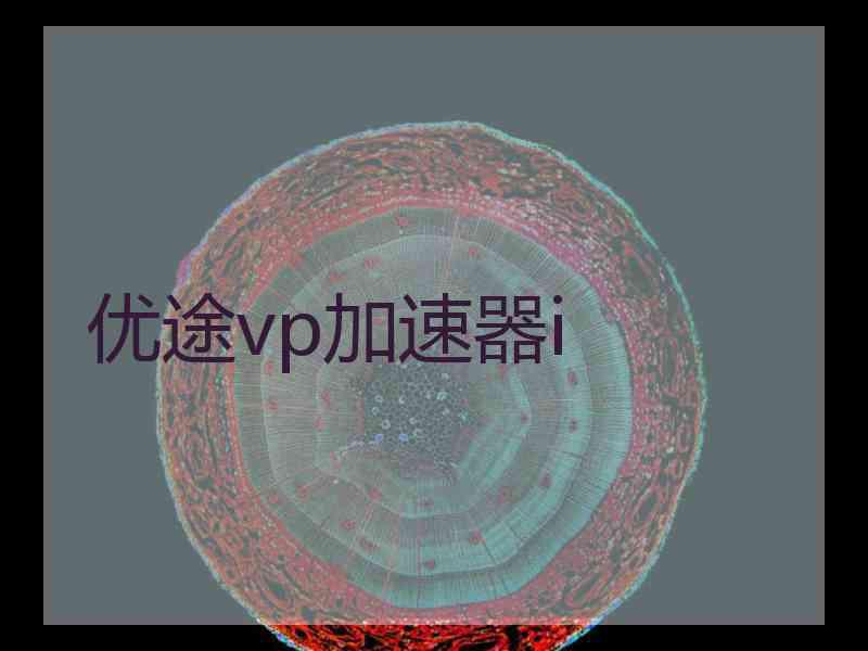 优途vp加速器i