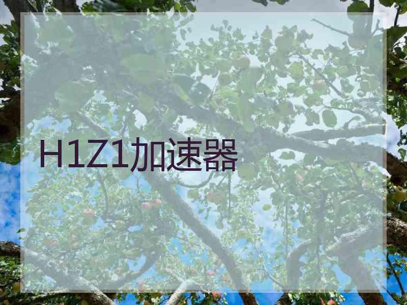 H1Z1加速器