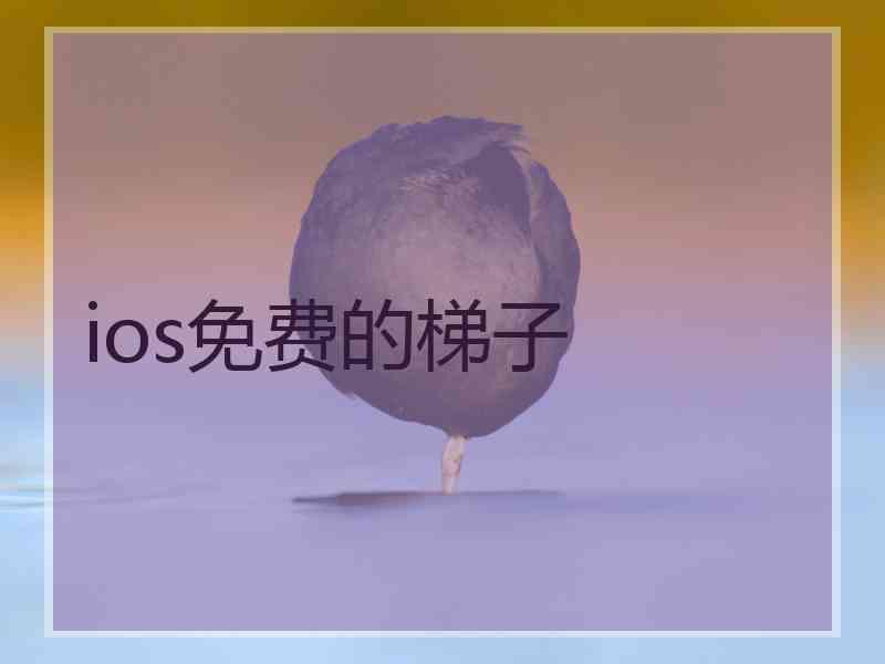 ios免费的梯子