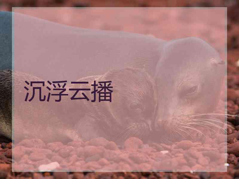 沉浮云播