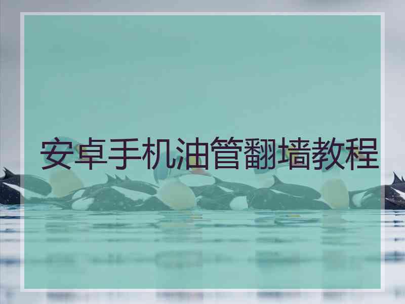 安卓手机油管翻墙教程