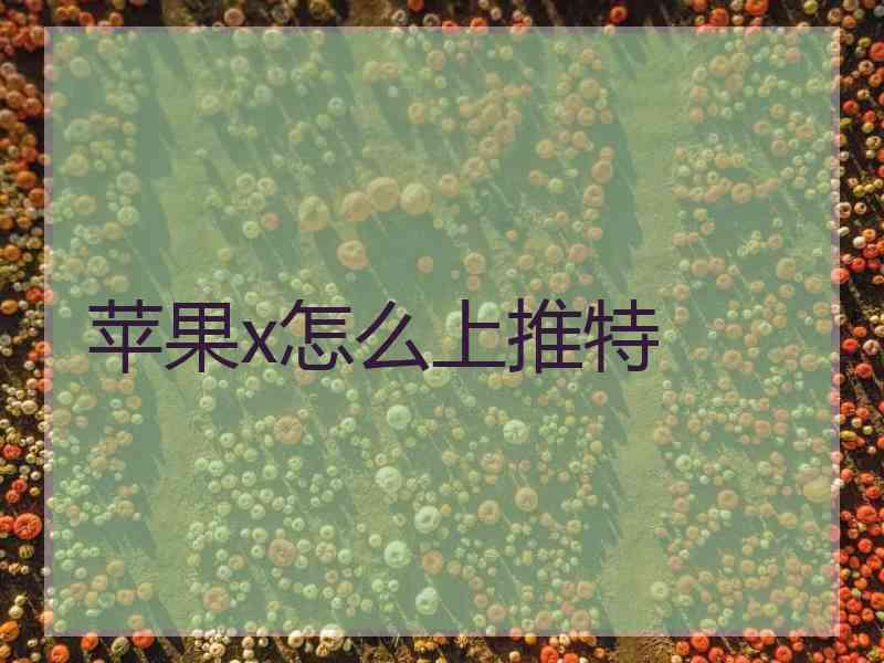 苹果x怎么上推特