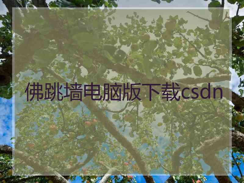 佛跳墙电脑版下载csdn