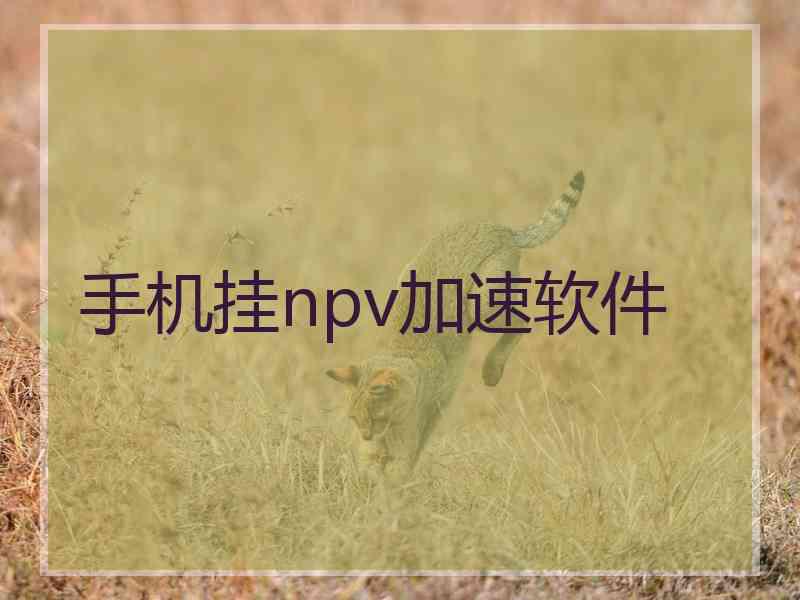 手机挂npv加速软件