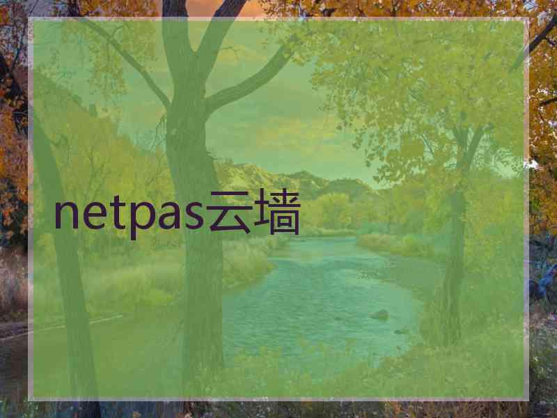 netpas云墙