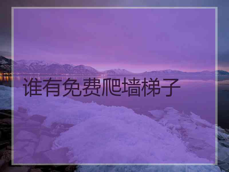 谁有免费爬墙梯子
