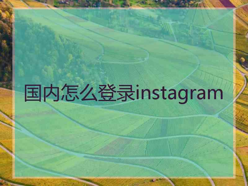 国内怎么登录instagram