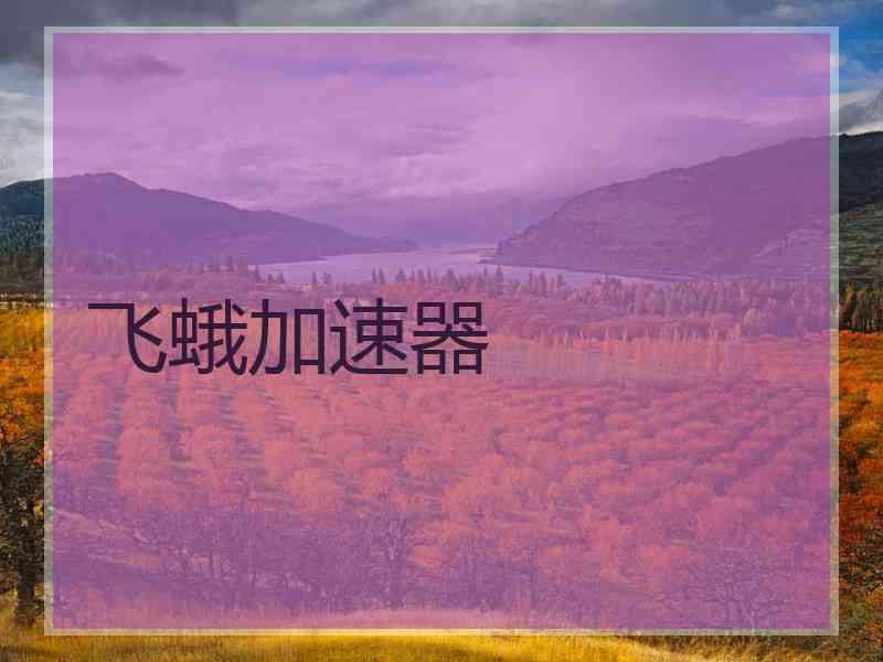 飞蛾加速器