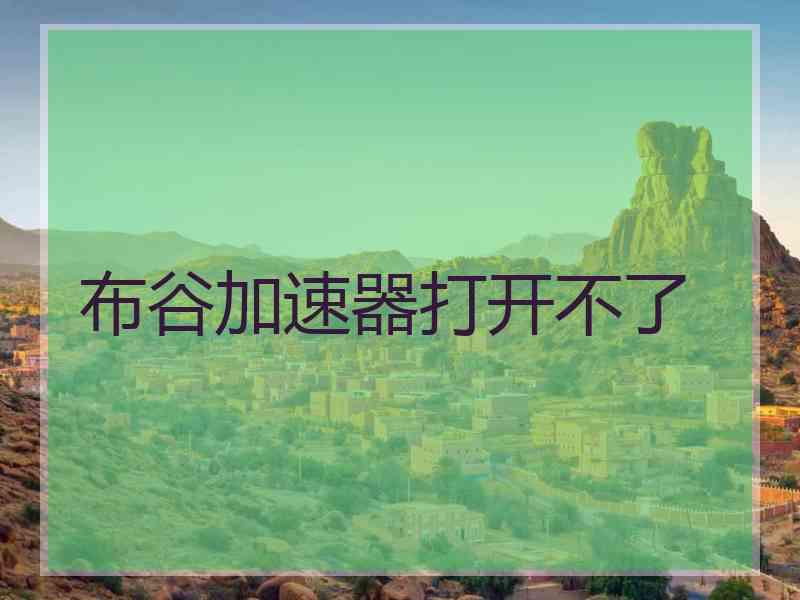 布谷加速器打开不了