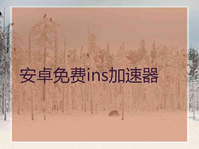 安卓免费ins加速器