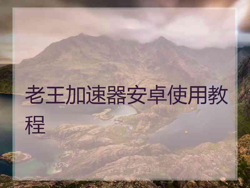 老王加速器安卓使用教程