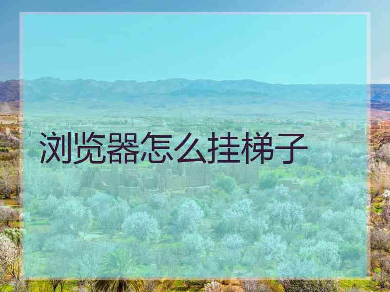 浏览器怎么挂梯子