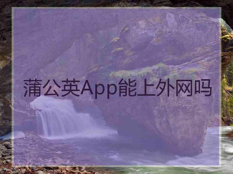 蒲公英App能上外网吗