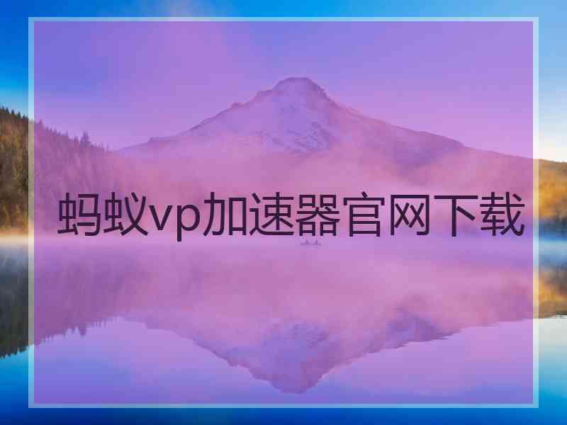 蚂蚁vp加速器官网下载