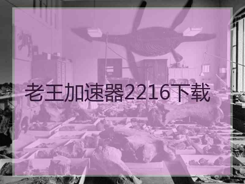 老王加速器2216下载