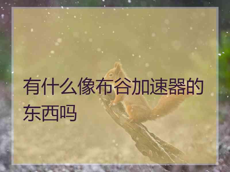 有什么像布谷加速器的东西吗