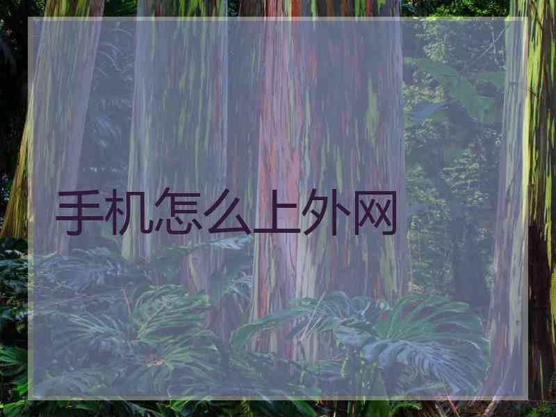 手机怎么上外网