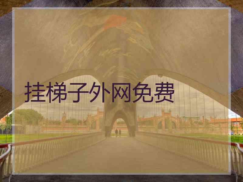 挂梯子外网免费