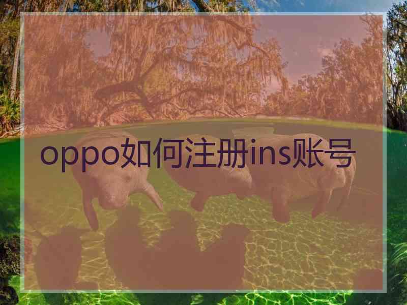 oppo如何注册ins账号