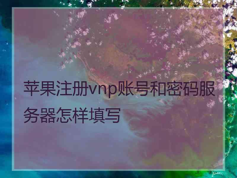 苹果注册vnp账号和密码服务器怎样填写