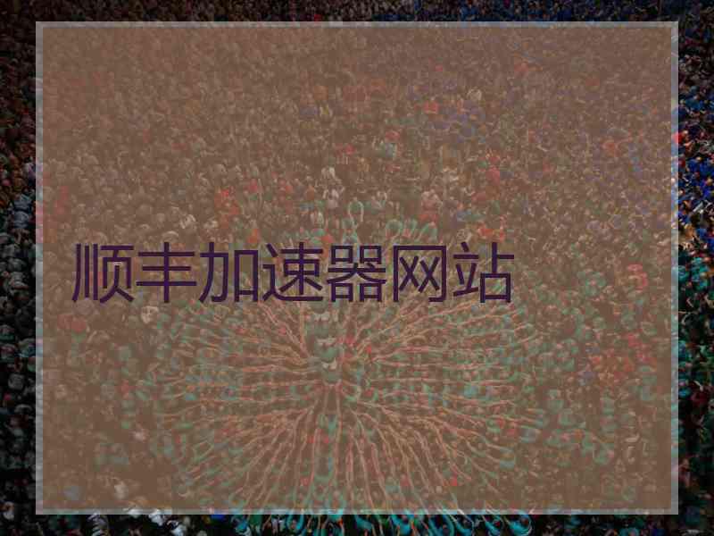 顺丰加速器网站