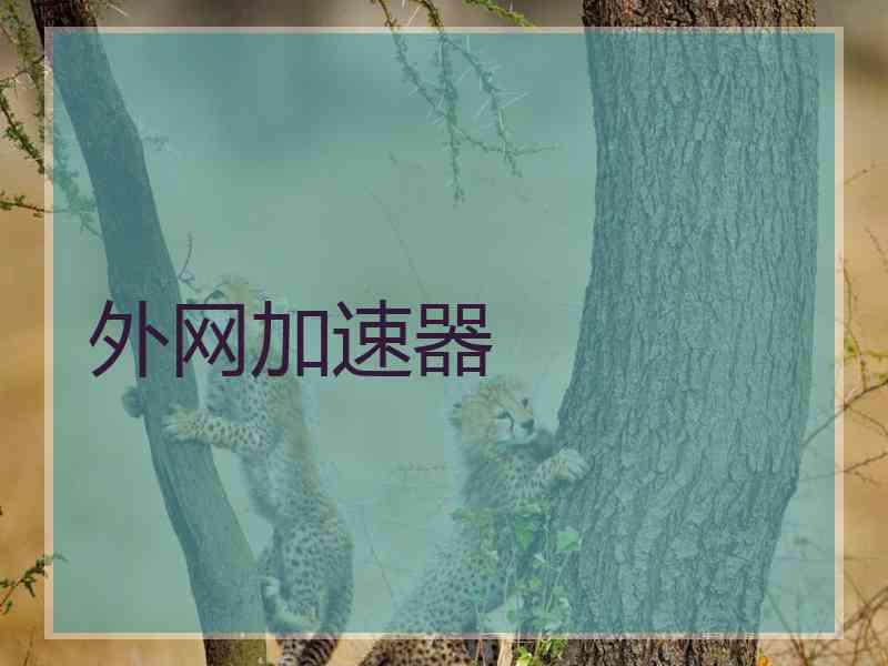 外网加速器