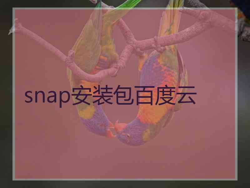 snap安装包百度云