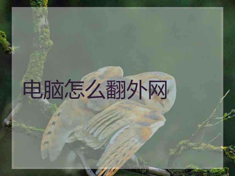 电脑怎么翻外网
