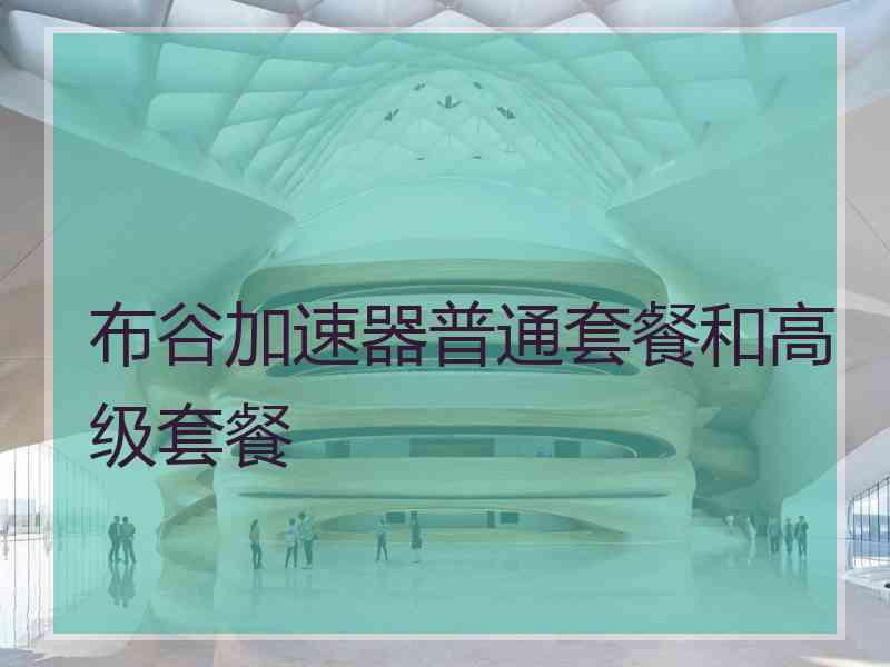 布谷加速器普通套餐和高级套餐