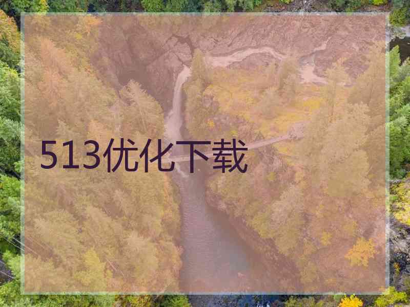 513优化下载
