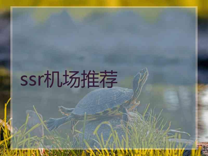ssr机场推荐