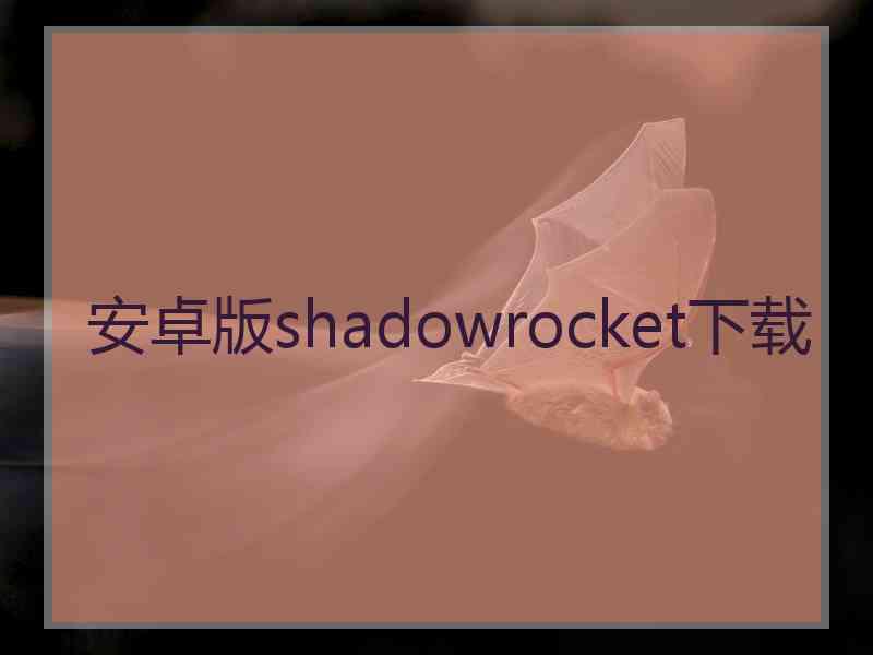 安卓版shadowrocket下载