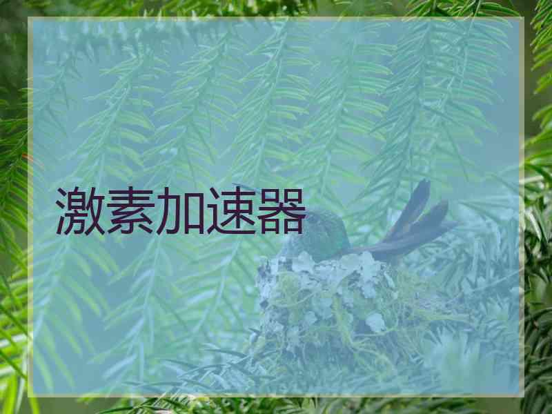 激素加速器