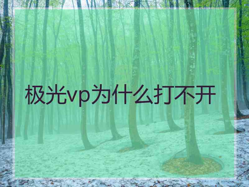 极光vp为什么打不开