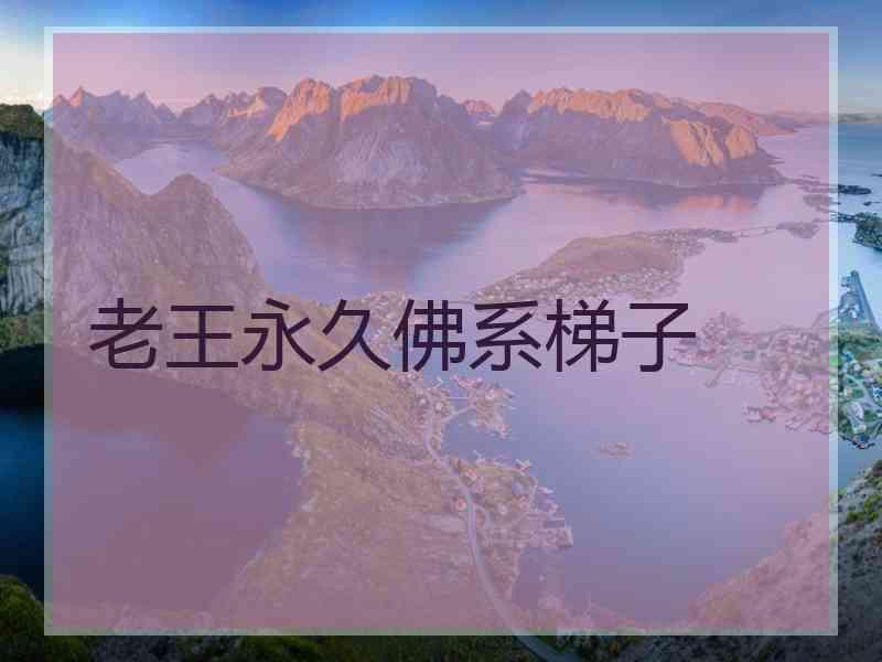 老王永久佛系梯子