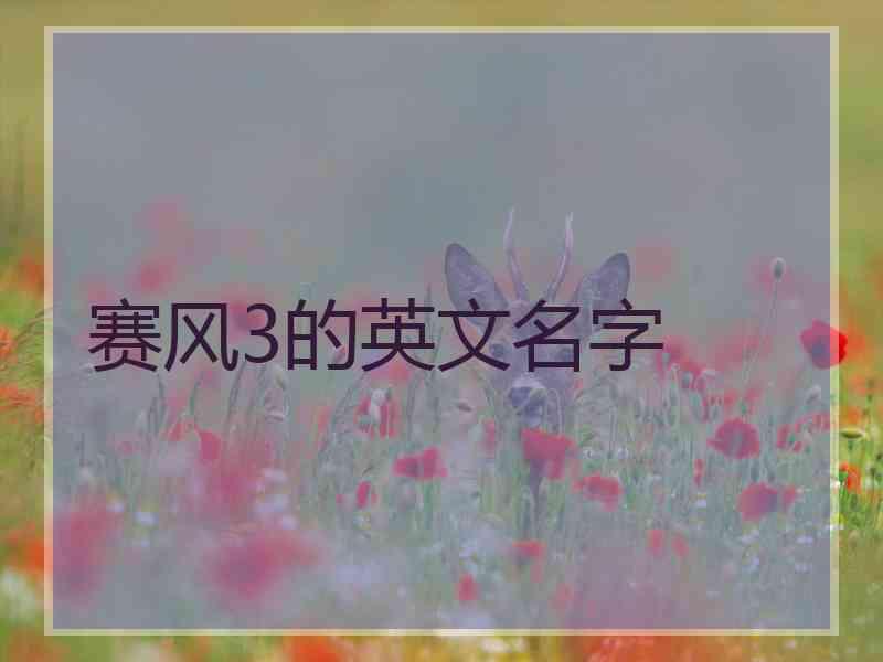 赛风3的英文名字