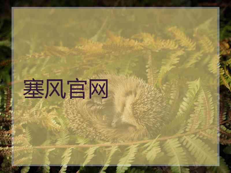 塞风官网