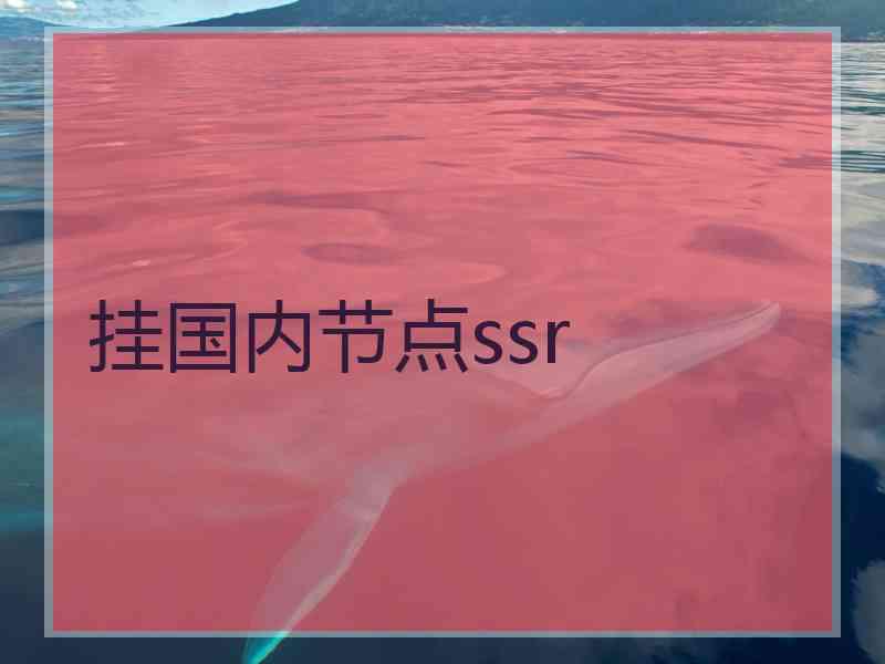 挂国内节点ssr