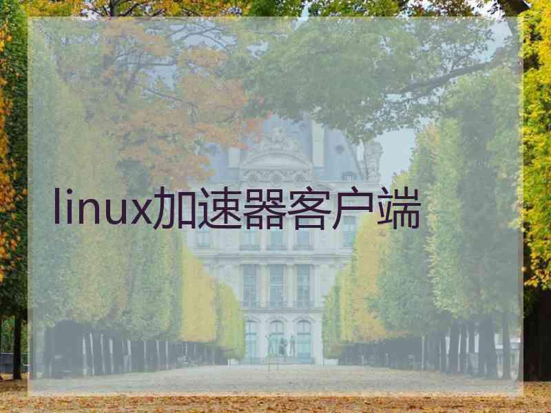 linux加速器客户端