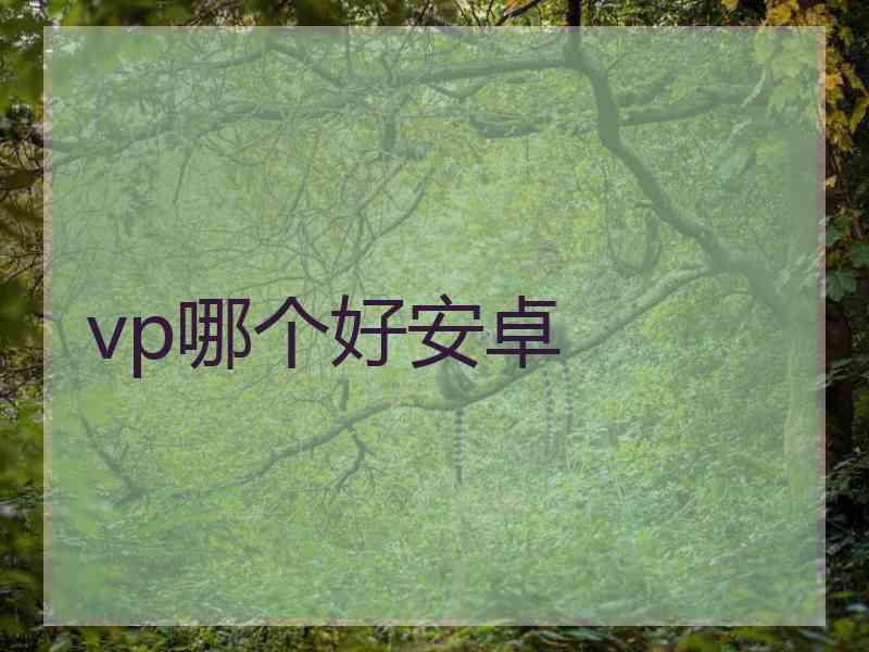 vp哪个好安卓