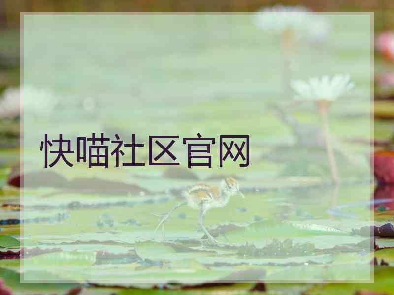 快喵社区官网