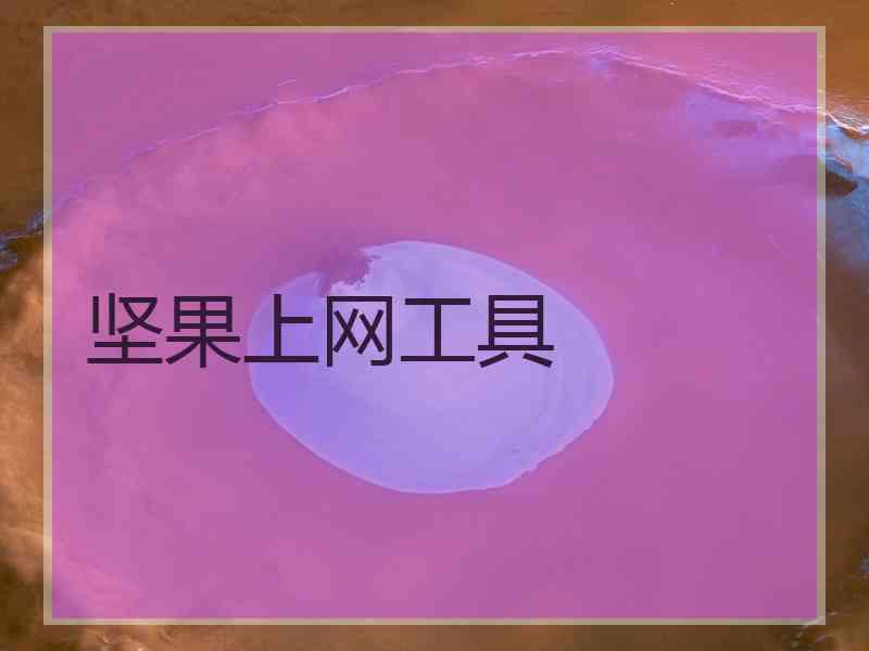 坚果上网工具