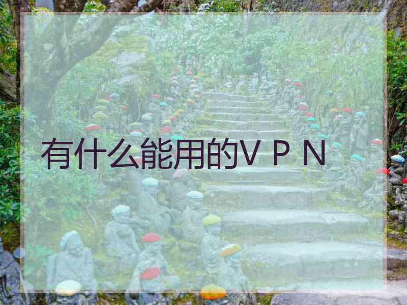 有什么能用的V P N